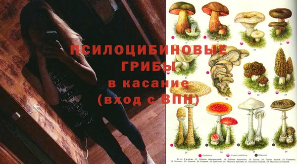 герыч Белокуриха