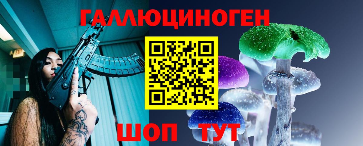 Галлюциногенные грибы GOLDEN TEACHER  Вход с VPN  Видное  Псилоцибиновые грибы Psilocybine cubensis 
