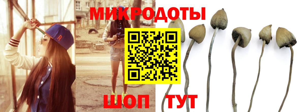 Галлюциногенные грибы GOLDEN TEACHER  где купить наркоту  Псилоцибиновые грибы Psilocybine cubensis  Видное 