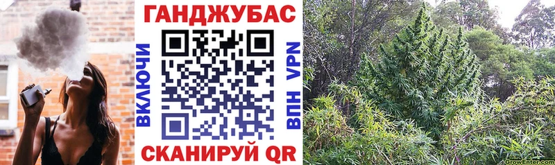 Канабис AK-47 Видное