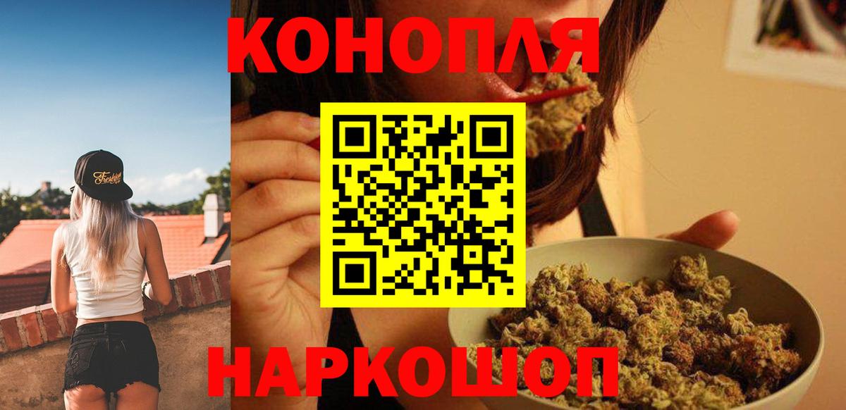 Конопля OG Kush  Марихуана семена  Канабис марихуана  Видное 